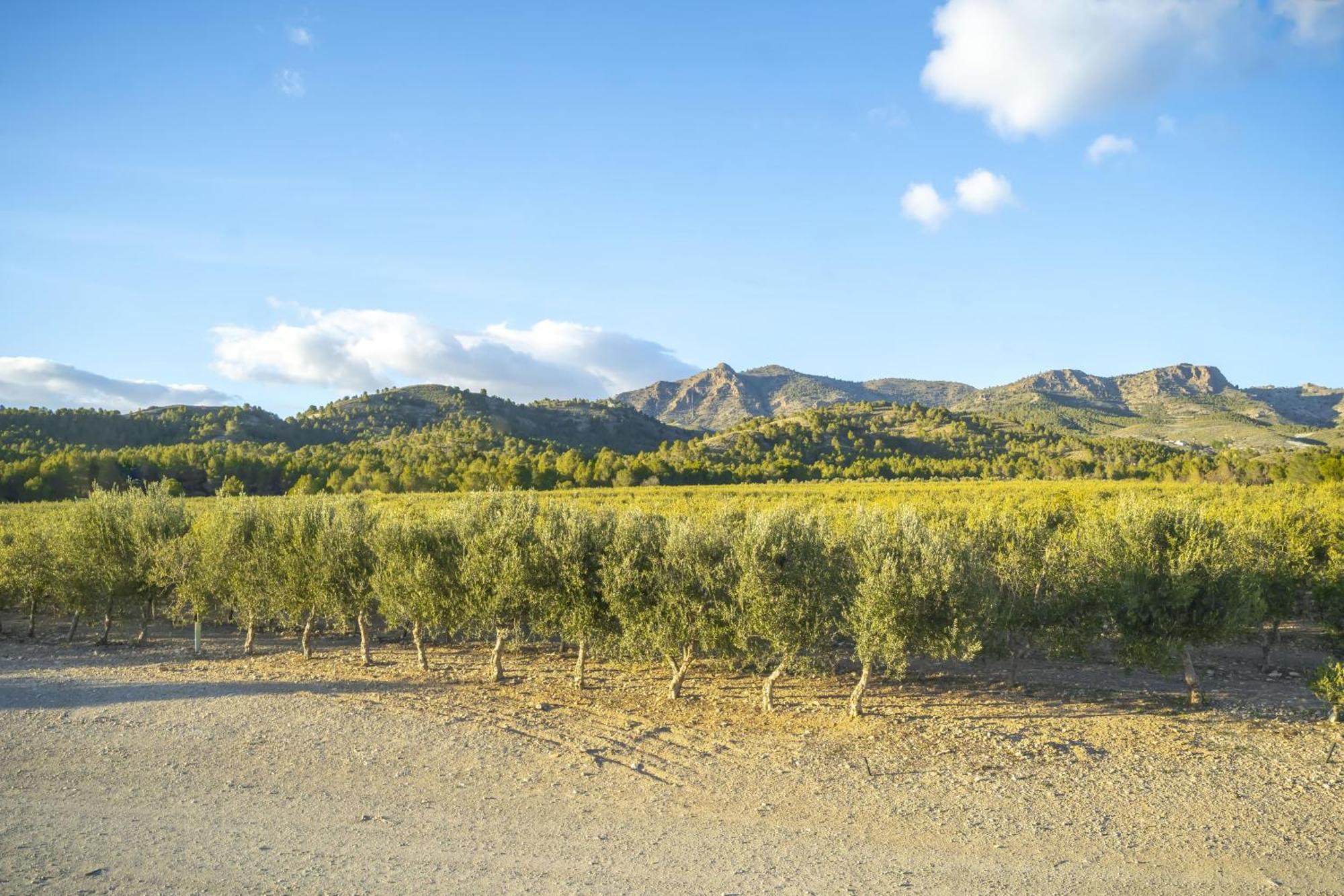 Finca El Espilo Lucar Buitenkant foto